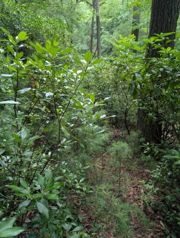 Lot 32 Byers Road Blairsville GA 30512