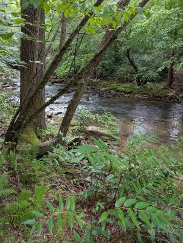 Lot 32 Byers Road Blairsville GA 30512