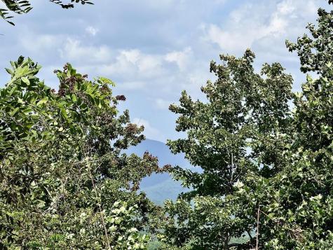 32 Grand Laurel Brasstown NC 28902