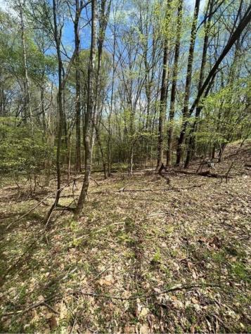 0 Holly Court Ellijay GA 30536