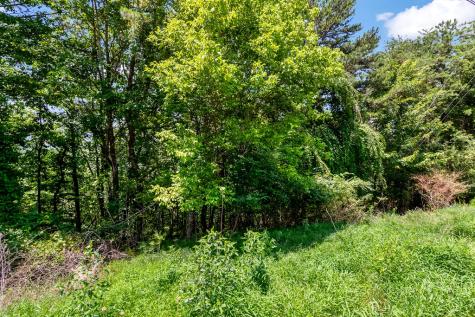 Lot 34 Talona Mountain Road Ellijay GA 30536