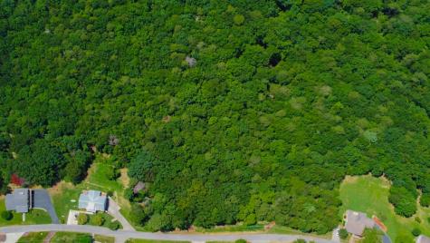 Lot 34 Talona Mountain Road Ellijay GA 30536