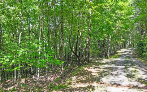 0 North View Trail Mineral Bluff GA 30559