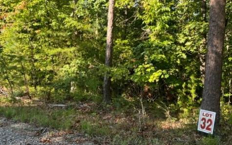 Lt 32 Buck Creek Road Ellijay GA 30540