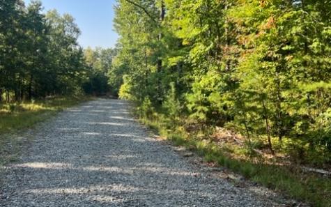 Lt 32 Buck Creek Road Ellijay GA 30540