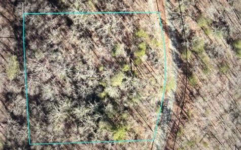 Lt 32 Buck Creek Road Ellijay GA 30540