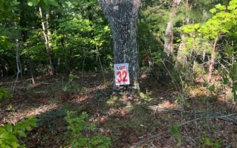 Lt 32 Buck Creek Road Ellijay GA 30540