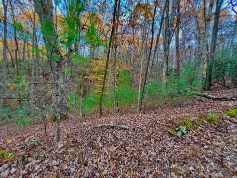 296 Valley View Road Ellijay GA 30536