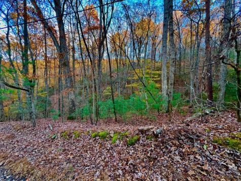 296 Valley View Road Ellijay GA 30536