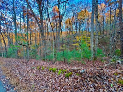 296 Valley View Road Ellijay GA 30536