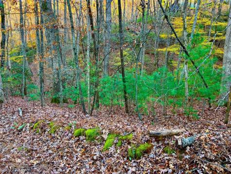 296 Valley View Road Ellijay GA 30536