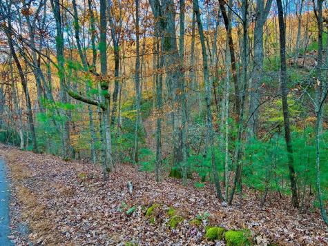 296 Valley View Road Ellijay GA 30536