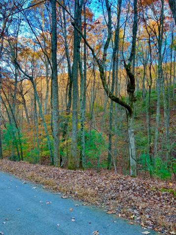 296 Valley View Road Ellijay GA 30536