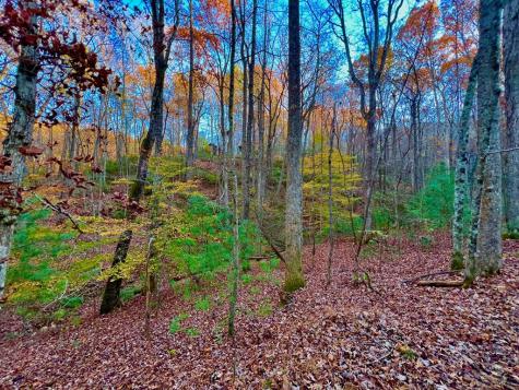 296 Valley View Road Ellijay GA 30536