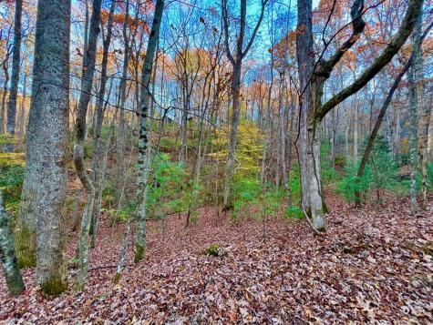 296 Valley View Road Ellijay GA 30536