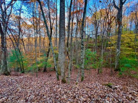 296 Valley View Road Ellijay GA 30536