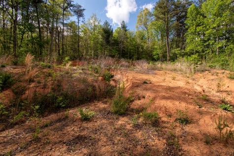 00 W Vineyard Road Hayesville NC 28904