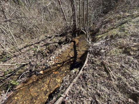 513 Trackrock Gap Road Blairsville GA 30512