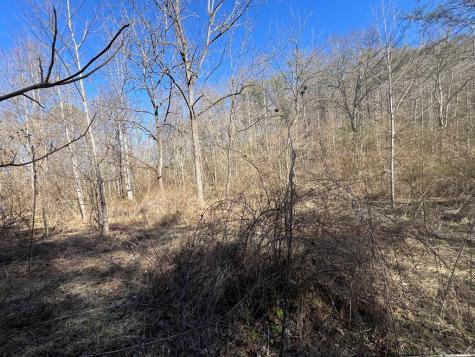 513 Trackrock Gap Road Blairsville GA 30512