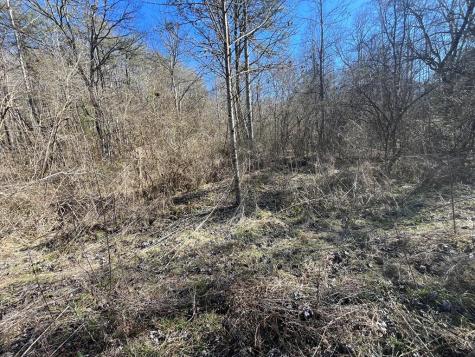 513 Trackrock Gap Road Blairsville GA 30512