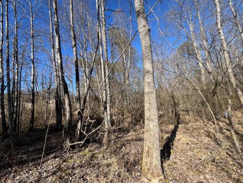 513 Trackrock Gap Road Blairsville GA 30512