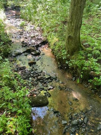 513 Trackrock Gap Road Blairsville GA 30512