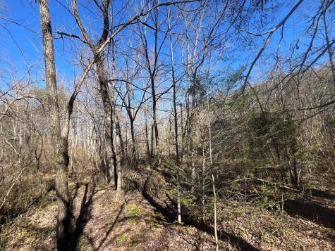 513 Trackrock Gap Road Blairsville GA 30512