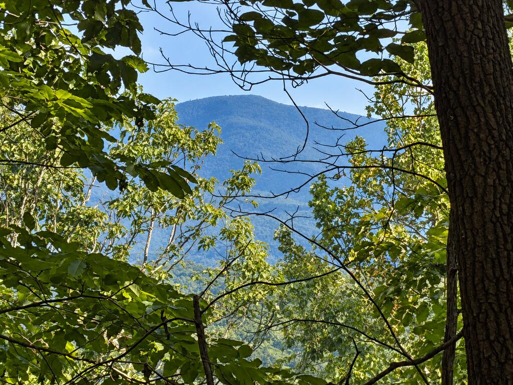 35 Saw Blade Lane Ellijay GA 30540