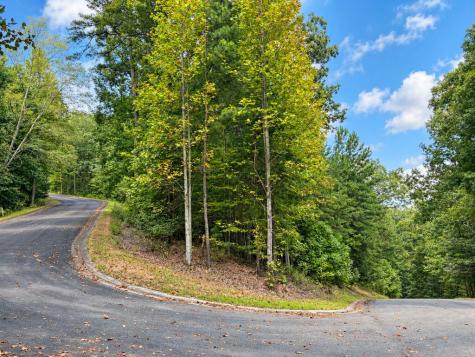 35 Saw Blade Lane Ellijay GA 30540