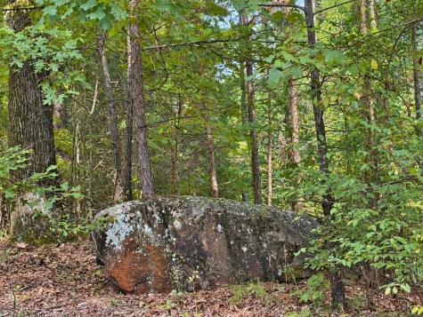 35 Saw Blade Lane Ellijay GA 30540