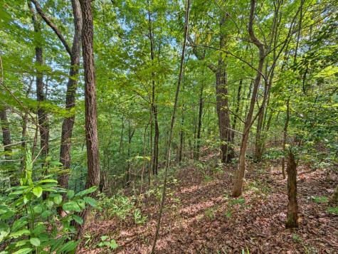 35 Saw Blade Lane Ellijay GA 30540