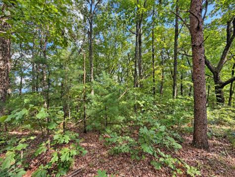 35 Saw Blade Lane Ellijay GA 30540