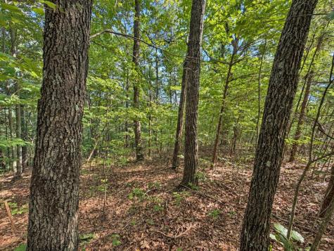 35 Saw Blade Lane Ellijay GA 30540