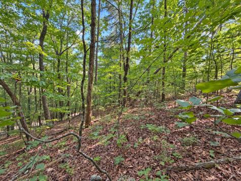 35 Saw Blade Lane Ellijay GA 30540