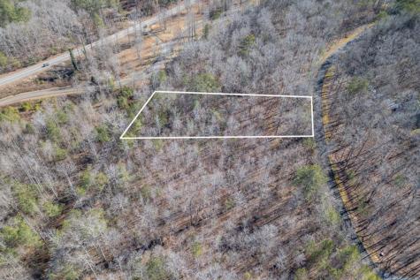 Lot 50 Tranquility @ Carters Lake Ellijay GA 30540