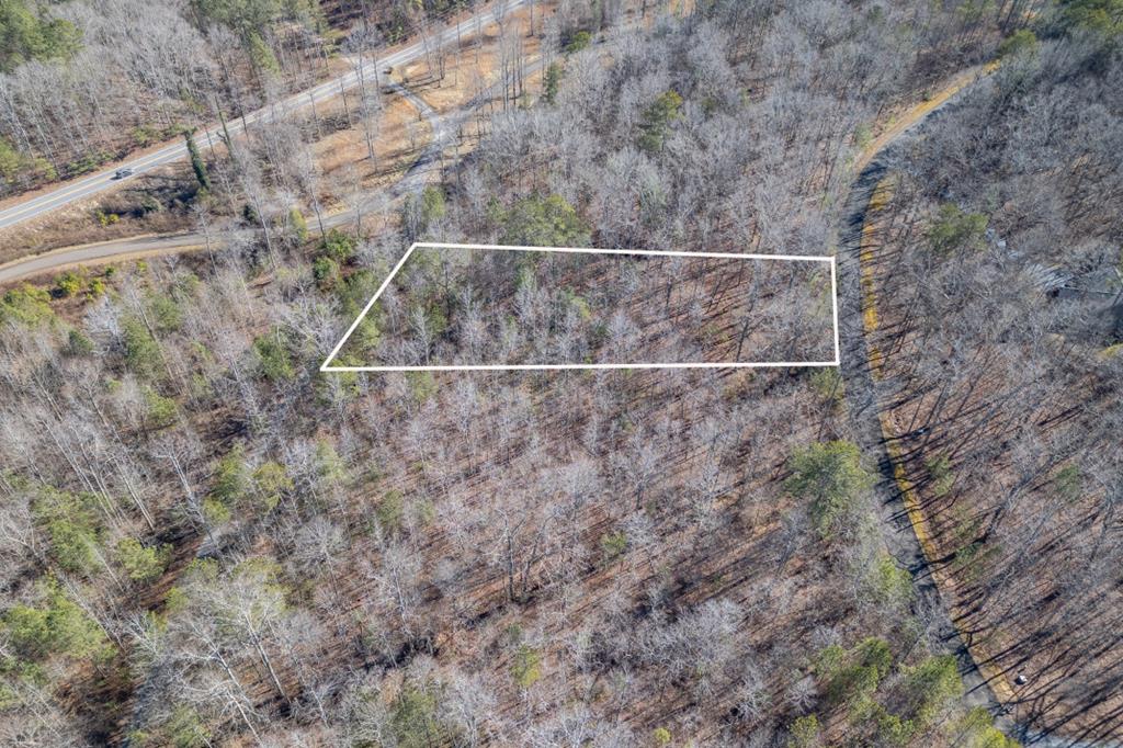 Lot 50 Tranquility @ Carters Lake Ellijay GA 30540