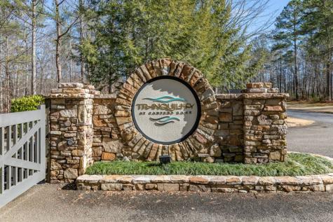 Lot 50 Tranquility @ Carters Lake Ellijay GA 30540
