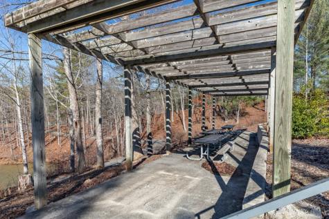 Lot 50 Tranquility @ Carters Lake Ellijay GA 30540