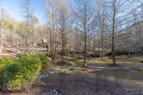 Lot 50 Tranquility @ Carters Lake Ellijay GA 30540