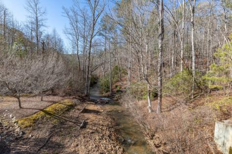 Lot 50 Tranquility @ Carters Lake Ellijay GA 30540