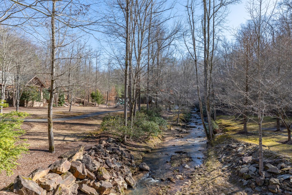 Lot 50 Tranquility Carters Lake