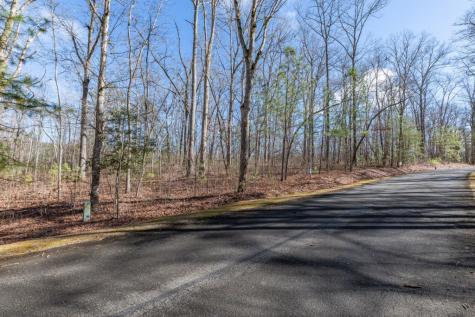 Lot 50 Tranquility @ Carters Lake Ellijay GA 30540