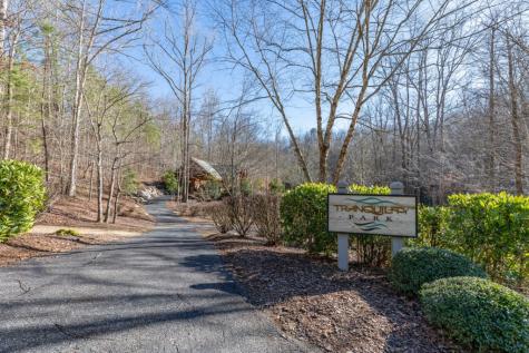 Lot 50 Tranquility @ Carters Lake Ellijay GA 30540