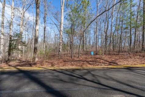 Lot 50 Tranquility @ Carters Lake Ellijay GA 30540