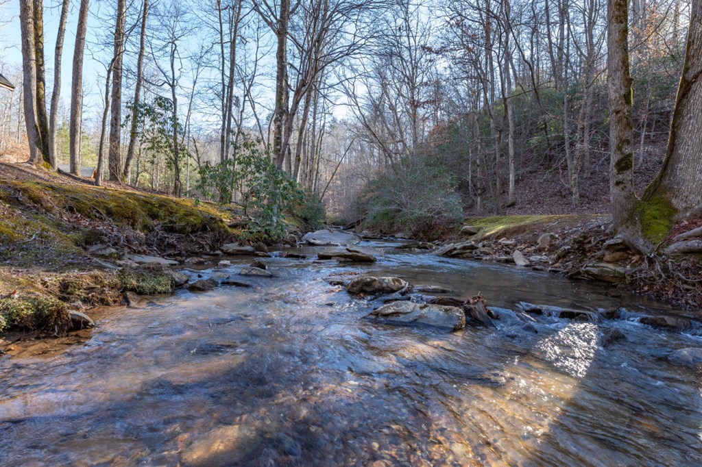 Lot 50 Tranquility Carters Lake