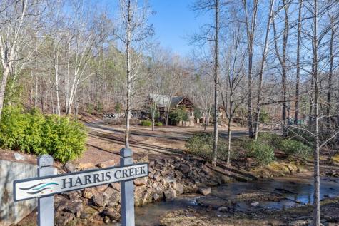 Lot 50 Tranquility @ Carters Lake Ellijay GA 30540