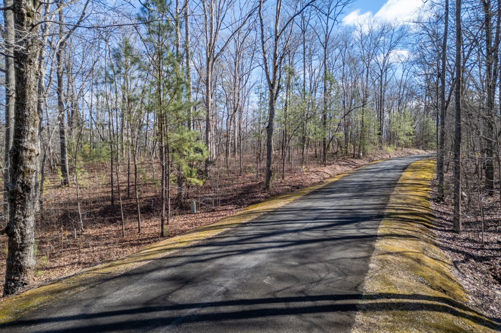 Lot 50 Tranquility Carters Lake