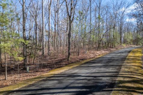 Lot 50 Tranquility @ Carters Lake Ellijay GA 30540