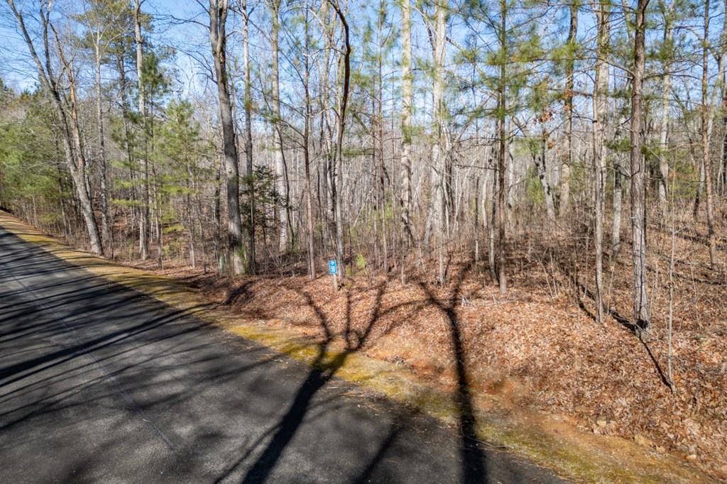 Lot 50 Tranquility Carters Lake