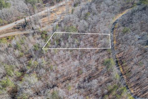 Lot 50 Tranquility @ Carters Lake Ellijay GA 30540
